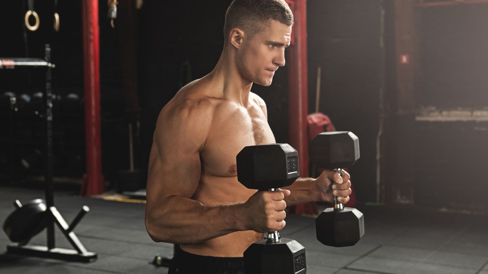 arm workout exercises