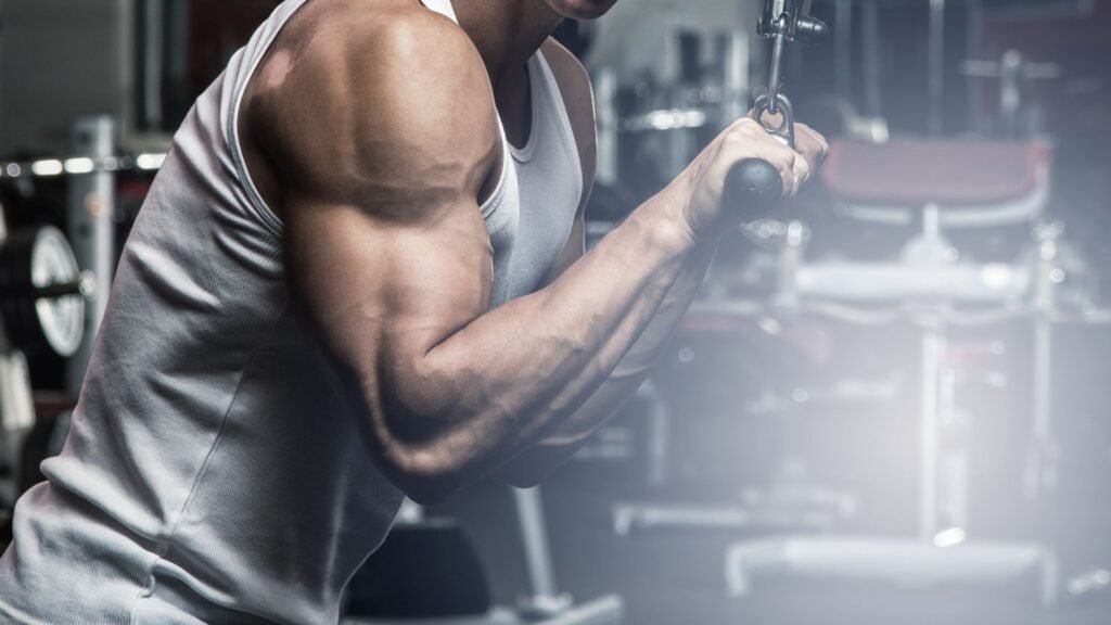 best triceps workout