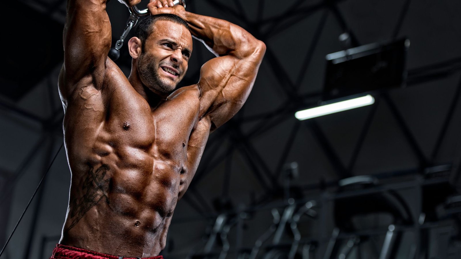 Best Muscle-Building Workouts for Maximum Growth