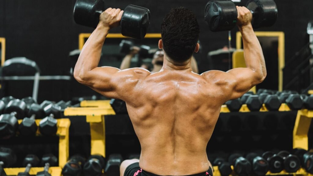 back and bicep routine